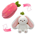 🐰Hide-and-Seek Reversible Bunny Plush (Strawberry🍓 & Carrot🥕 Edition)