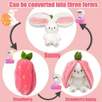 🐰Hide-and-Seek Reversible Bunny Plush (Strawberry🍓 & Carrot🥕 Edition)