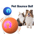 ✨2026 New Release -55% Off - Pet Bounce Ball for Cats🐱 & Dogs🐶