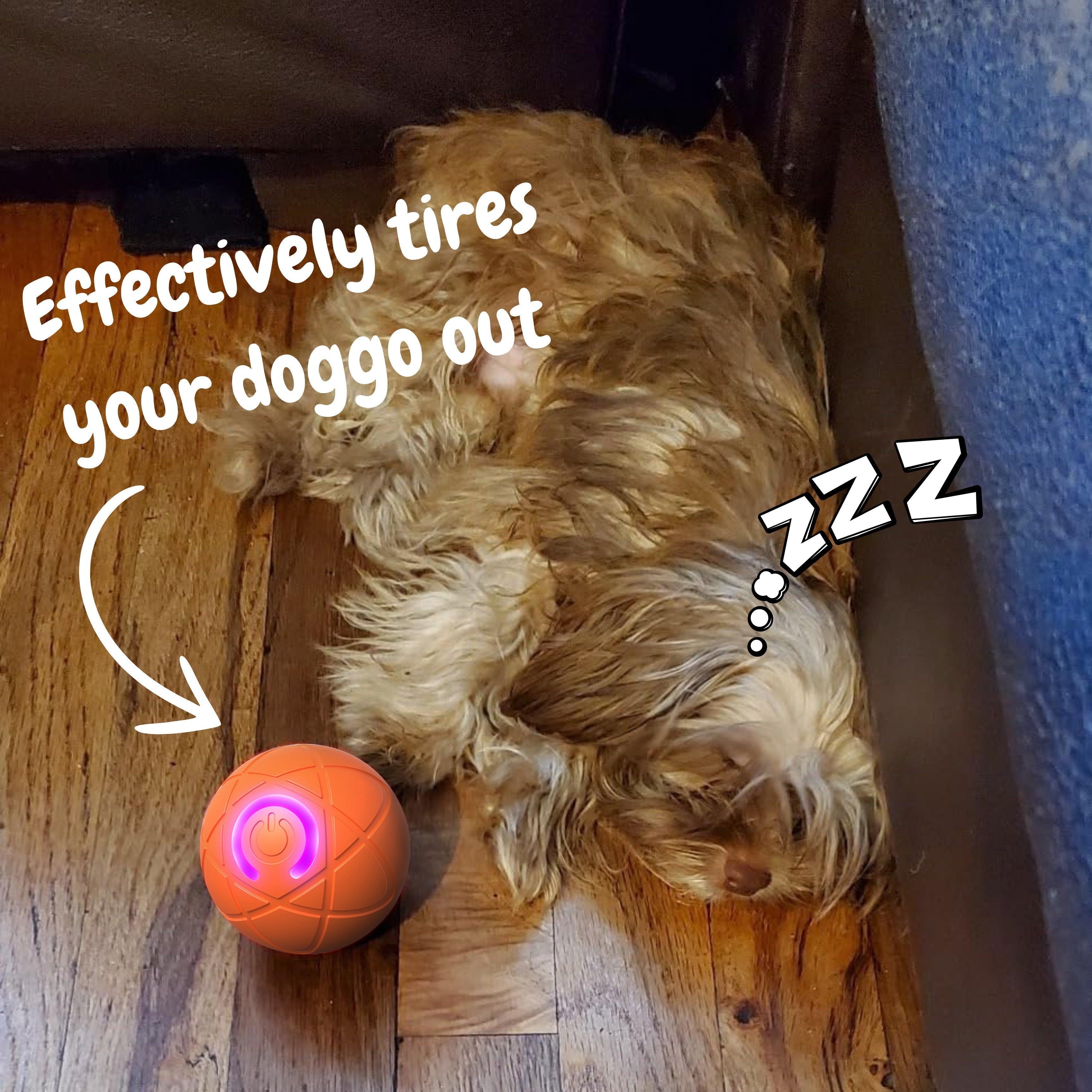 ✨2026 New Release -55% Off - Pet Bounce Ball for Cats🐱 & Dogs🐶