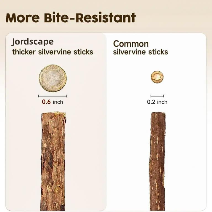 Jordscape Natural Silvervine Dental Sticks