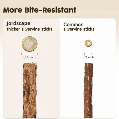 Jordscape Natural Silvervine Dental Sticks